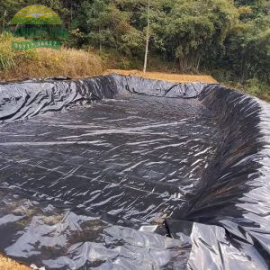 bạt hdpe 0.5mm