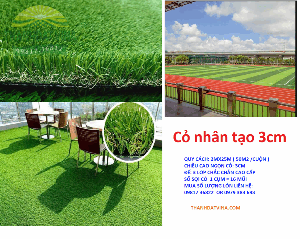 CO-NHAN-TAO-CAO-CAP