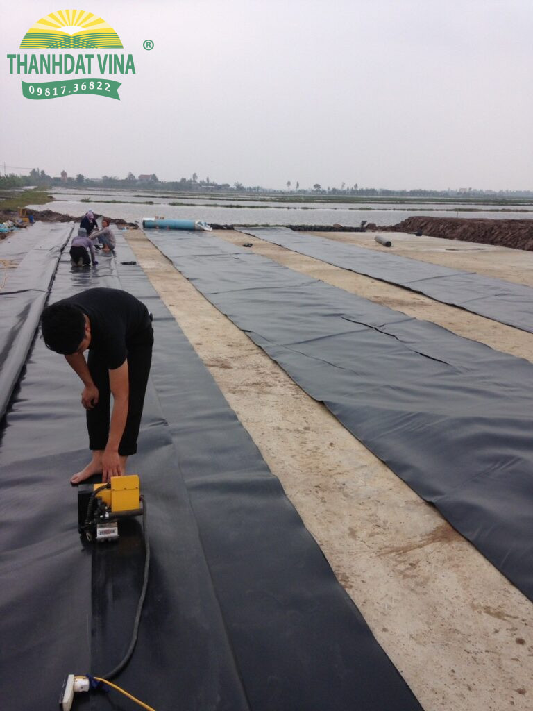 bạt hdpe độ dày 5 zem