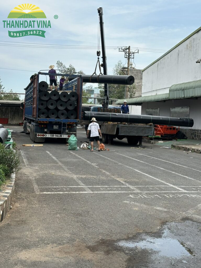 bạt hdpe khổ rộng 8m