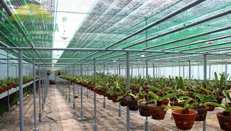 Lưới che nắng vườn Lan