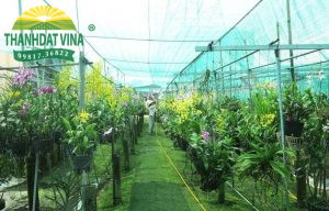 Lưới Lan che mưa nắng phù hợp cho 4 mùa