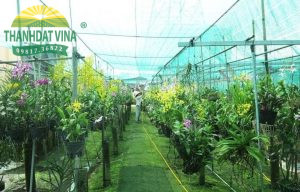 Lưới lan che nắng có nhiều đặc điểm nổi bật