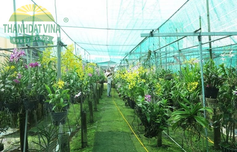 Lưới Lan chống nắng là giải pháp hiệu quả