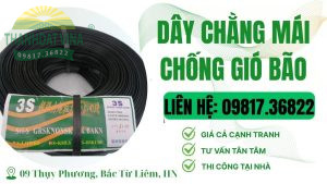 dây chằng mái