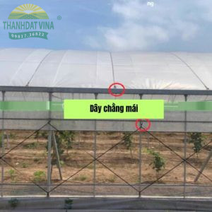 dây chằng mái