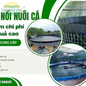hồ tròn nổi nuôi cá