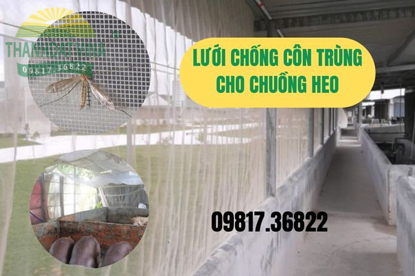 lưới chống côn trùng