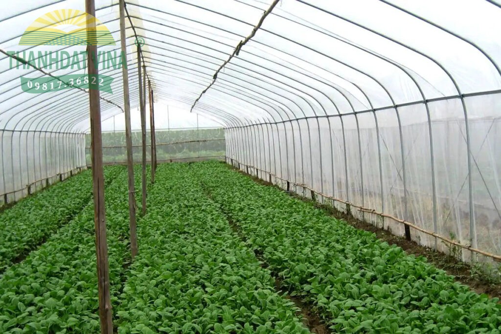 lưới chắn côn trùng nông nghiệp