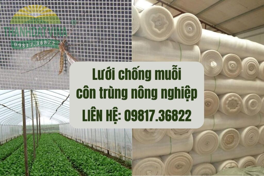 lưới chống muỗi