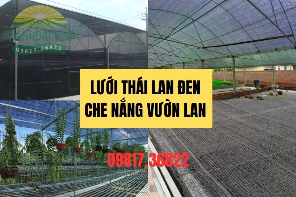 lưới thái lan đen
