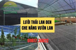 lưới thái lan đen