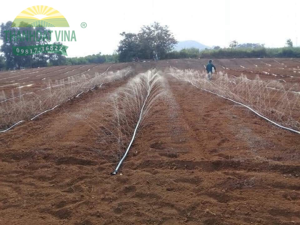 DÂY TƯỚI PHUN MƯA PHI 27MM