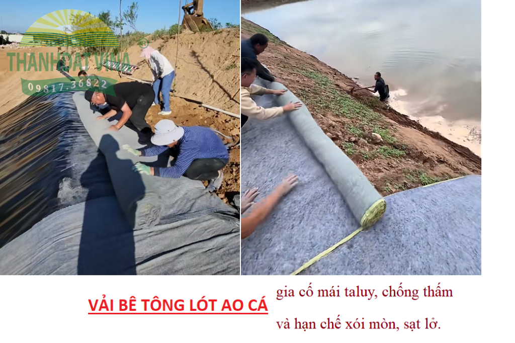 VAI BE TONG